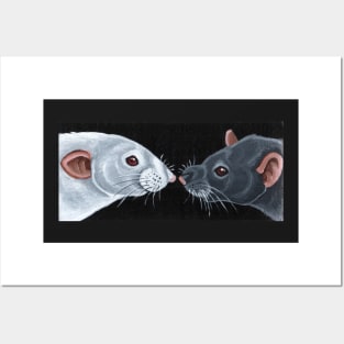 Albino and Marten Rats Posters and Art